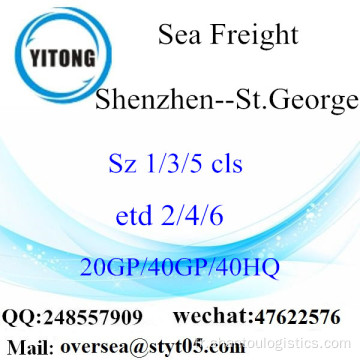 Livraison de fret maritime à Shenzhen Port à St.George
